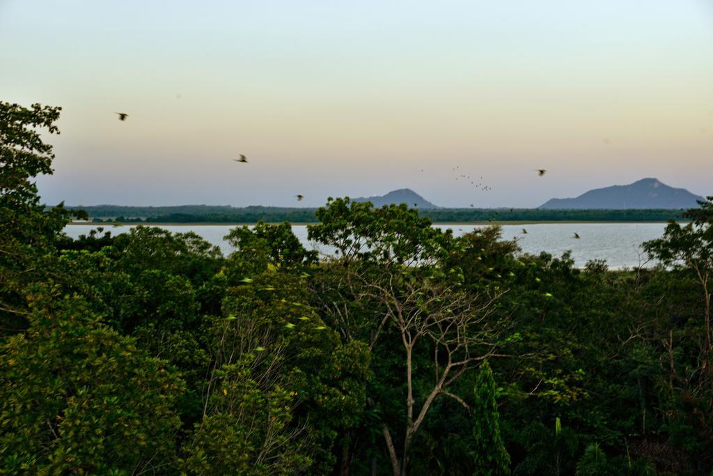 Ceylan Lodge Anuradhapura Eksteriør bilde